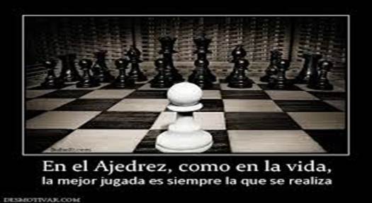 índice11